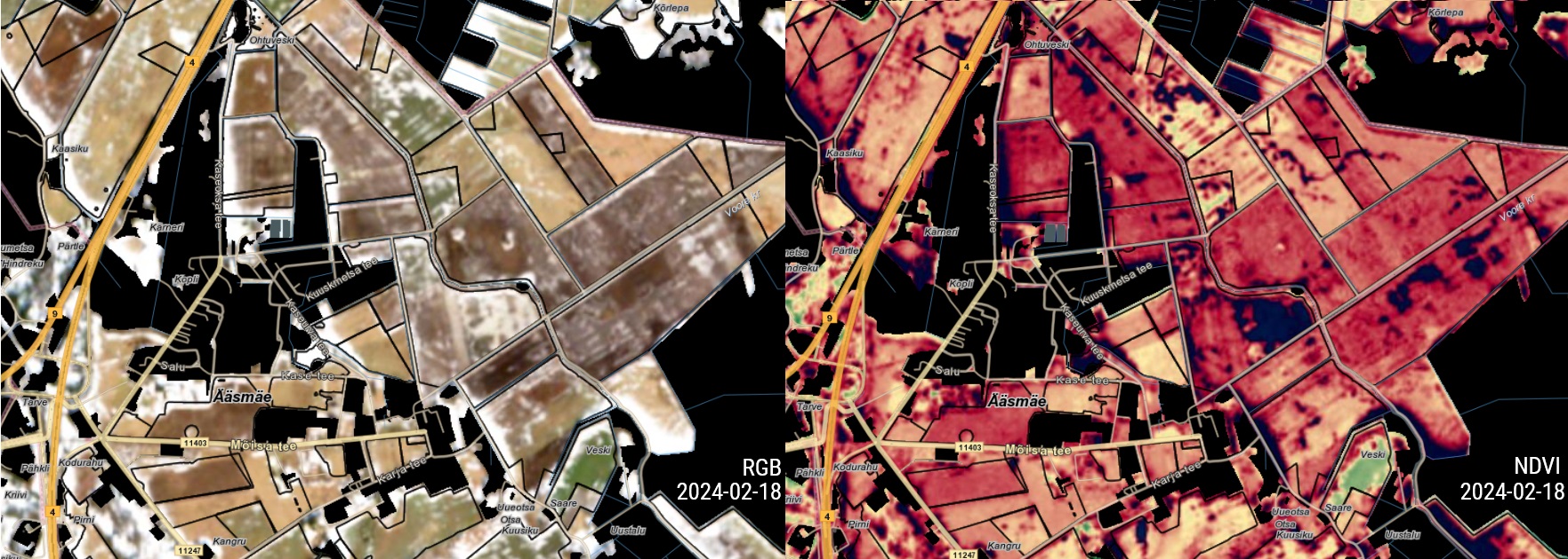 NDVI kaardikiht võib informatiivseks osutuda ka talvisel perioodil.