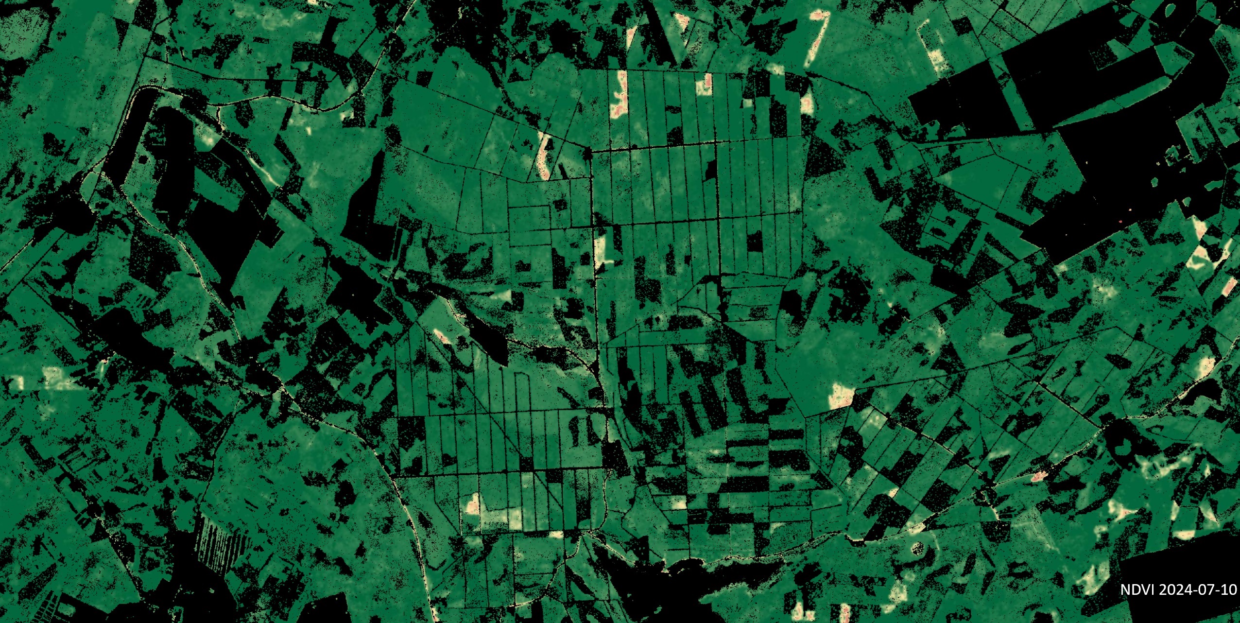 Taimkatteindeks (NDVI) pilt Lääne-Nigula vallast koos suvise 10m taimkatte maskiga. Pilt on võrdlemisi ühtlaselt sügav roheline, markeerides suviselt rohelist terve taimkattega ala.