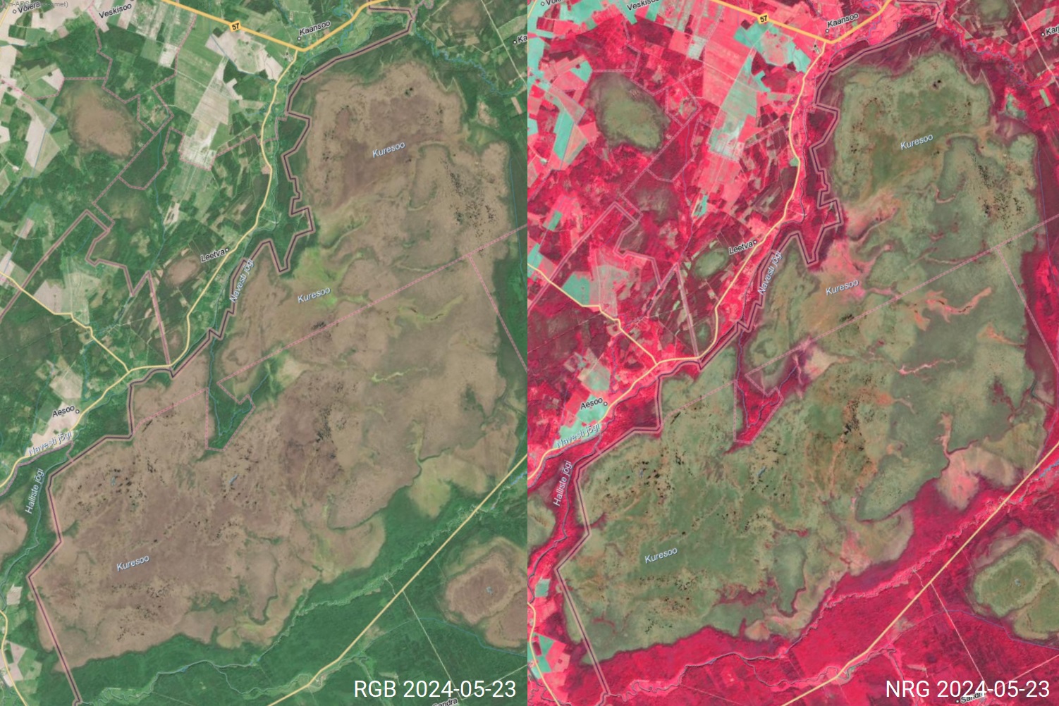 RGB harilikes toonides satelliidipilt vasakul ja NRG valevärvipilt paremal. On näha, et RGB pildil on märgalad pruunid ja NRG puhul on need rohelised. 