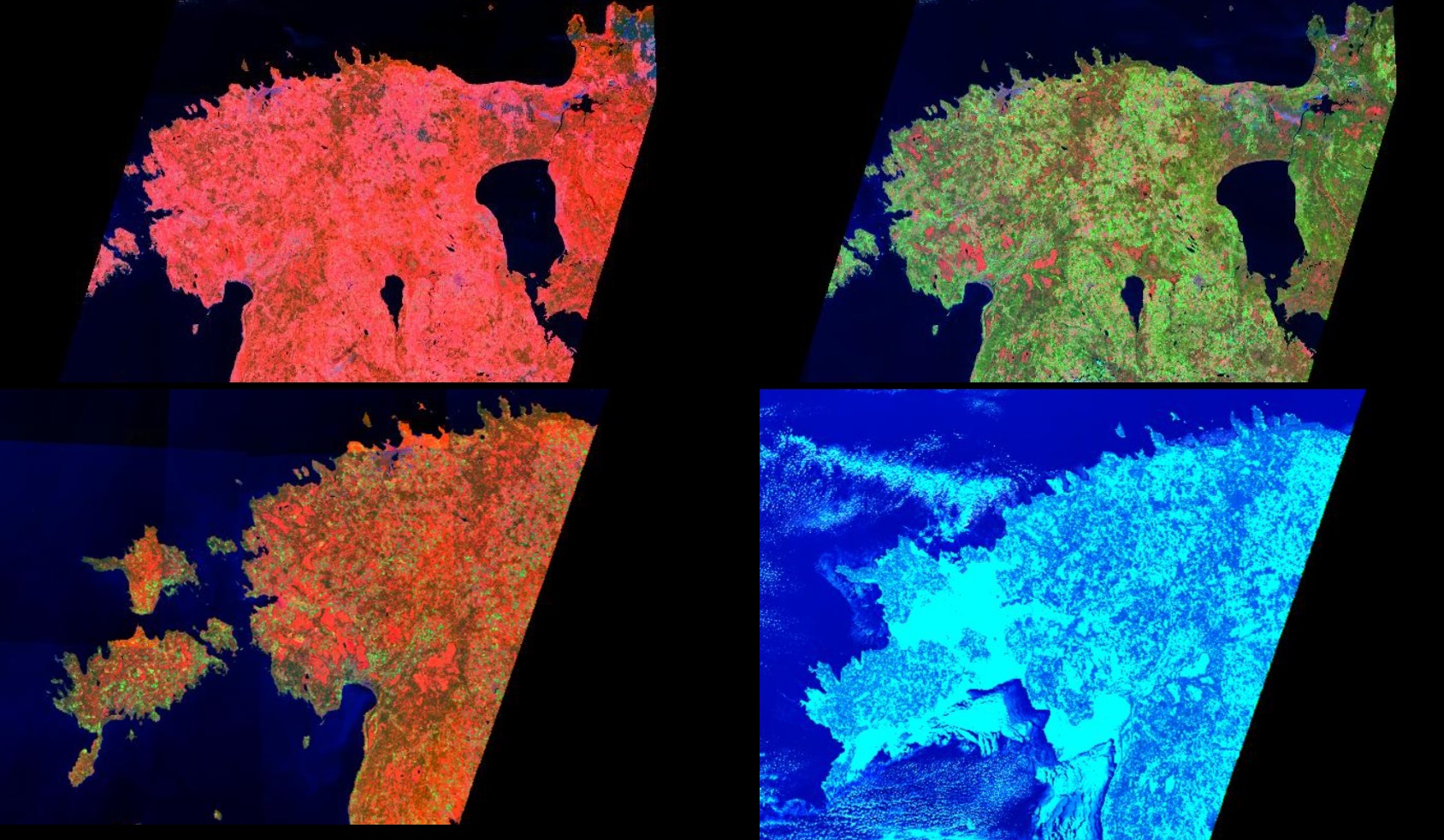 PNB (NDPI-NIR-Blue) pildid eri aastaaegade ajal (alustades ülevalt, liikudes paremale: kevad, suvi, sügis, talv)